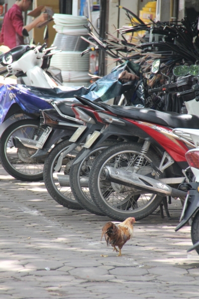 Вьетнам. Центральный и северный. Восемь четыре два