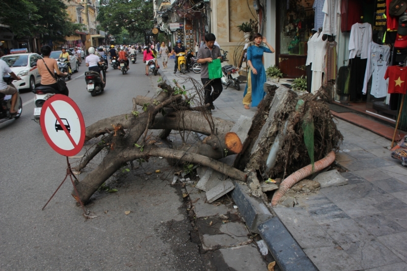 Вьетнам. Центральный и северный. Восемь четыре два