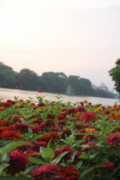 Вьетнам. Центральный и северный. Восемь четыре два