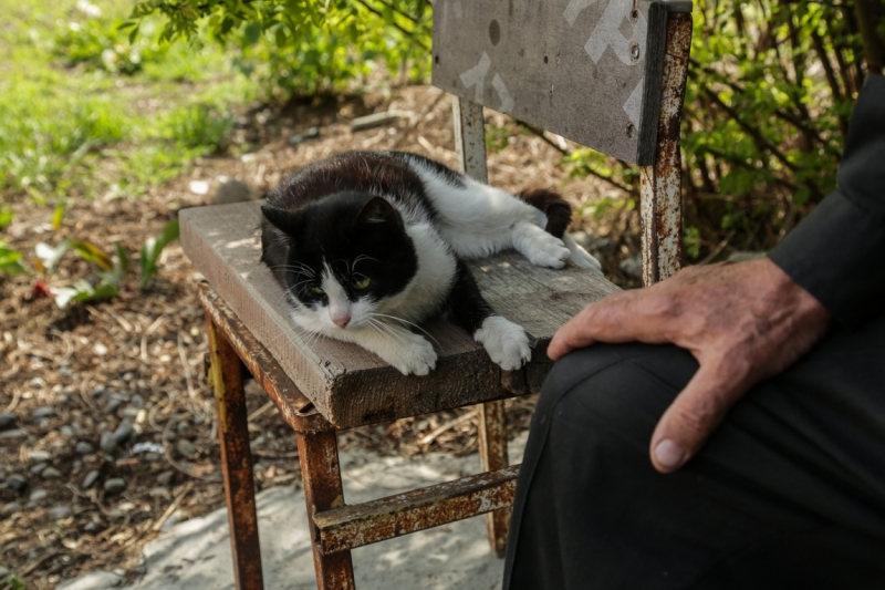 Северная Осетия