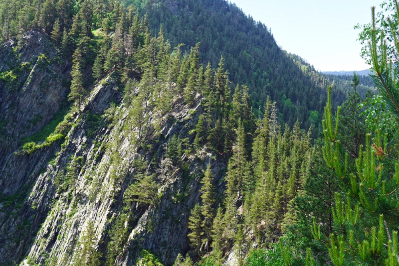 Дорога в Тушетию