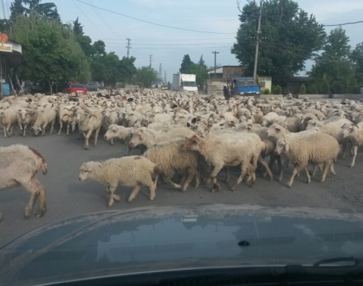 Моя Грузия (обновление от 25.06.2015)