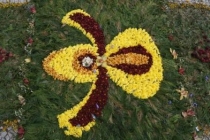 DSC02932 - копия.JPG