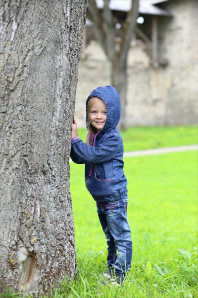 Псков-Изборск-Печоры из СПб на выходные, июнь 2015