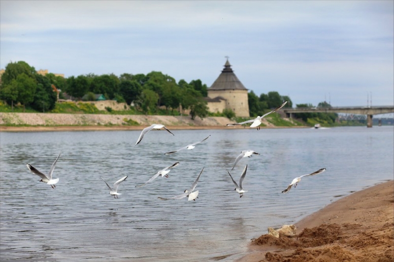 Псков-Изборск-Печоры из СПб на выходные, июнь 2015