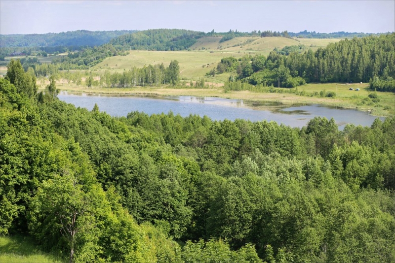 Псков-Изборск-Печоры из СПб на выходные, июнь 2015