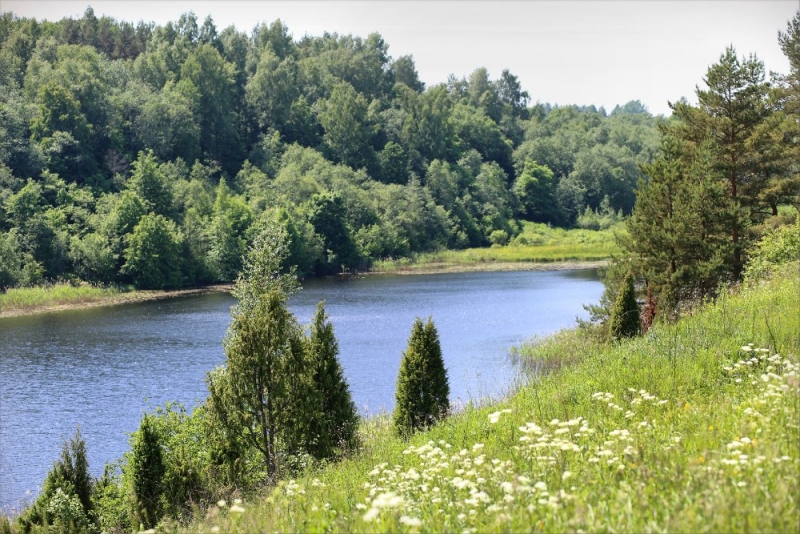 Псков-Изборск-Печоры из СПб на выходные, июнь 2015