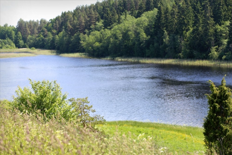 Псков-Изборск-Печоры из СПб на выходные, июнь 2015