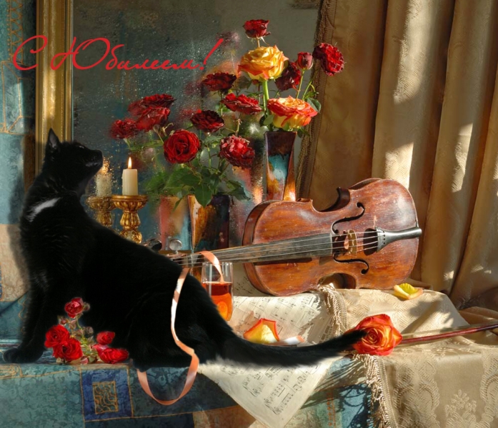 Поговорим о кошках34