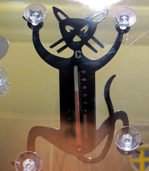 Поговорим о кошках34