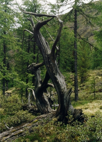 Байкальский дневник