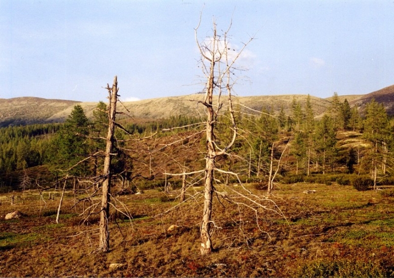 Байкальский дневник