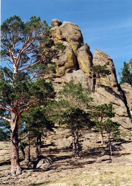 Байкальский дневник