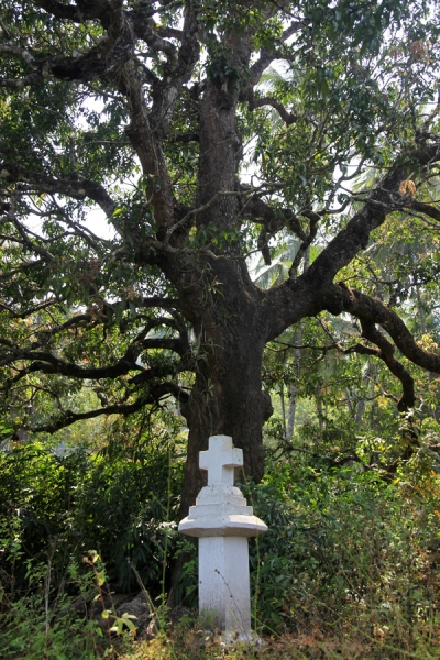 Индия-4, фотоотчет