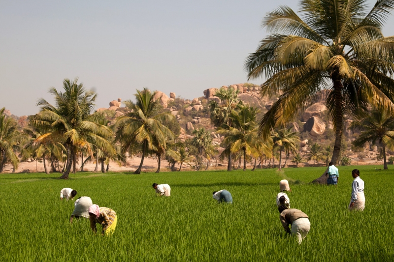 Индия-4, фотоотчет