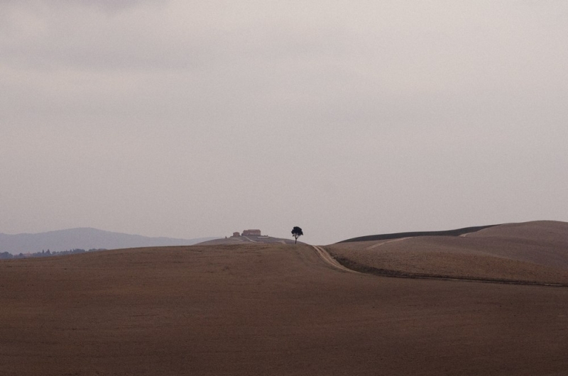 Вторая половина сентября, 10-12 дней