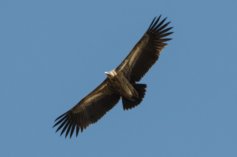 EBC трек март-апрель 2015