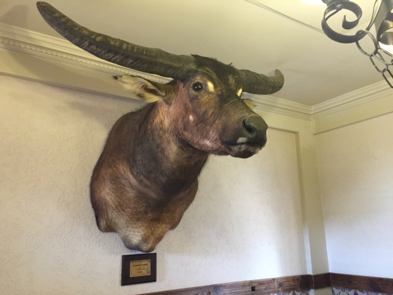 Нижний Новгород и Казань в июне 2015 глазами обывателей.