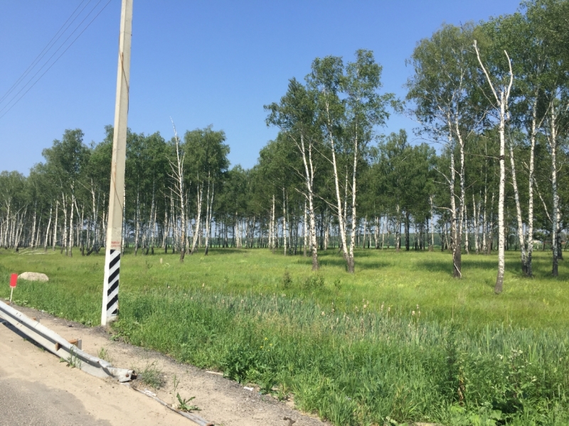 Нижний Новгород и Казань в июне 2015 глазами обывателей.