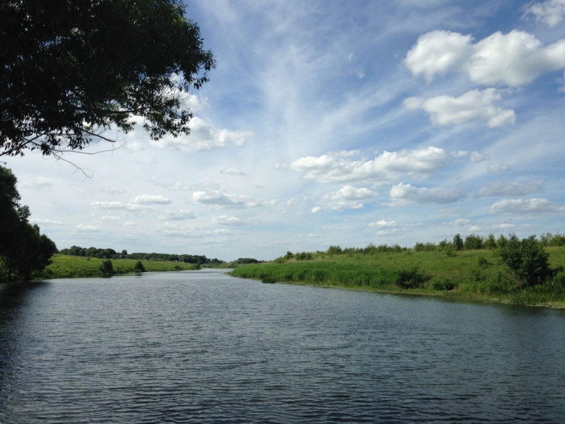 Куликово Поле