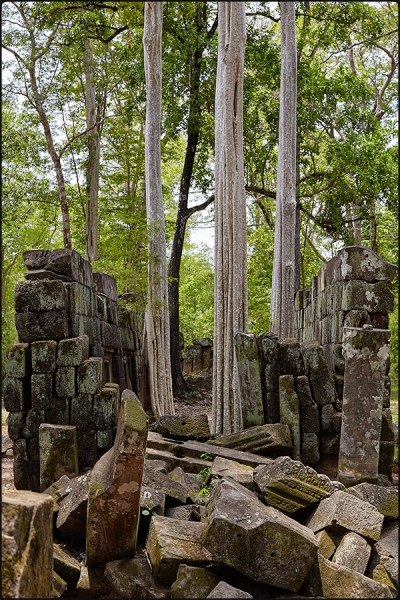 с детьми в Ангкоре, май 2015 с детьми в Ангкоре, май 2015