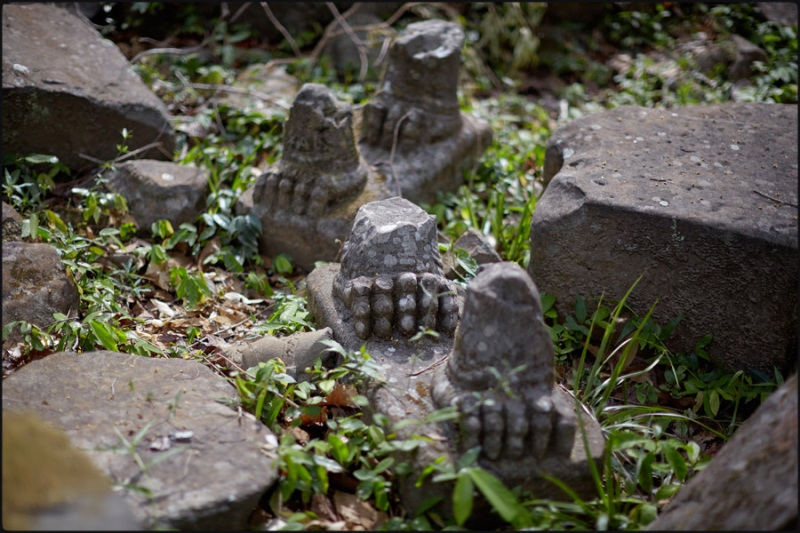 с детьми в Ангкоре, май 2015 с детьми в Ангкоре, май 2015