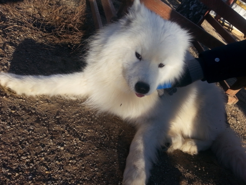 Уральские командировочные выходные.