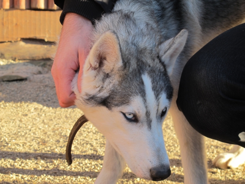 Уральские командировочные выходные.