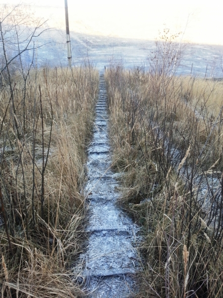 Уральские командировочные выходные.