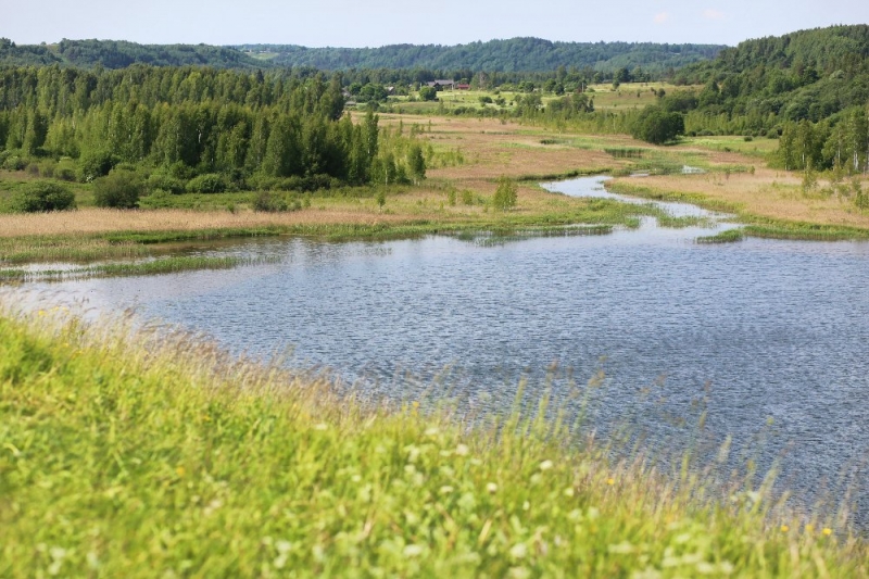 Псков-Изборск-Печоры из СПб на выходные, июнь 2015