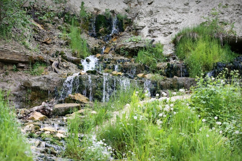 Псков-Изборск-Печоры из СПб на выходные, июнь 2015