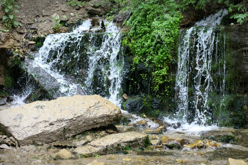 Псков-Изборск-Печоры из СПб на выходные, июнь 2015