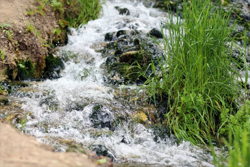 Псков-Изборск-Печоры из СПб на выходные, июнь 2015