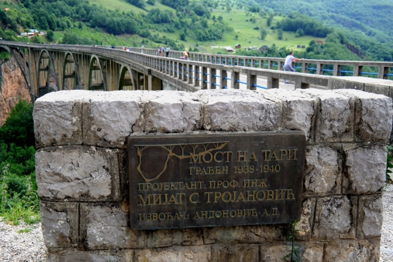 Церна Хора 2015г