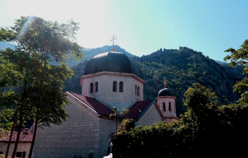Церна Хора 2015г