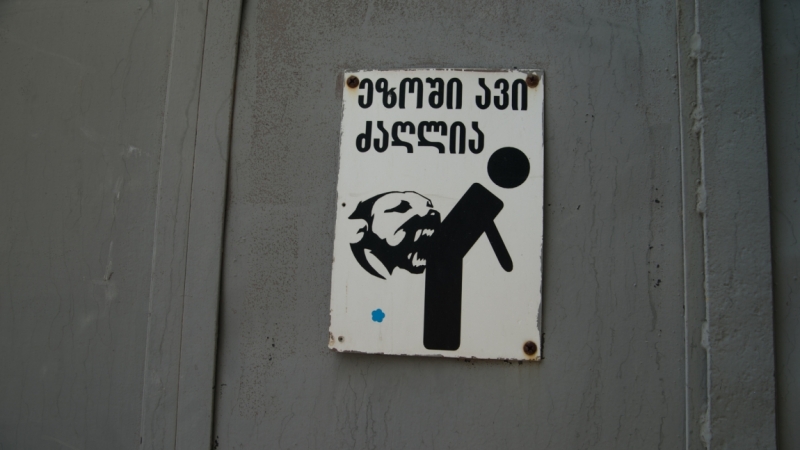 Грузия июль 2015