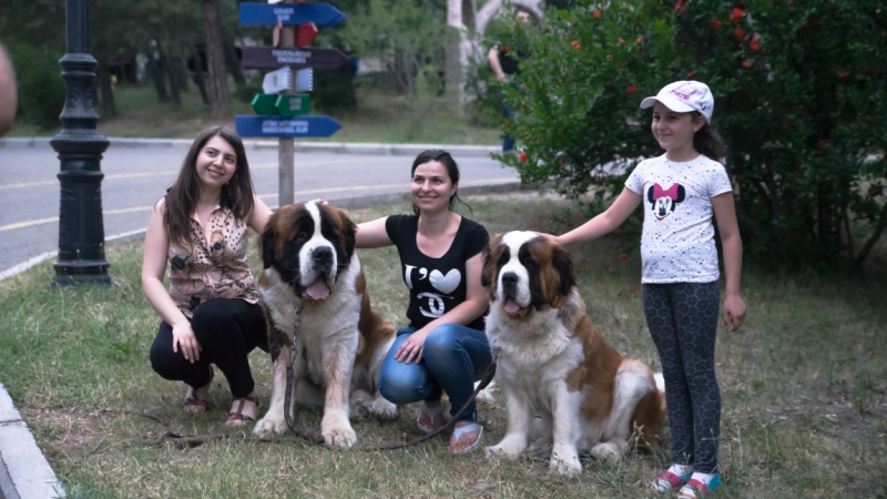 Грузия июль 2015