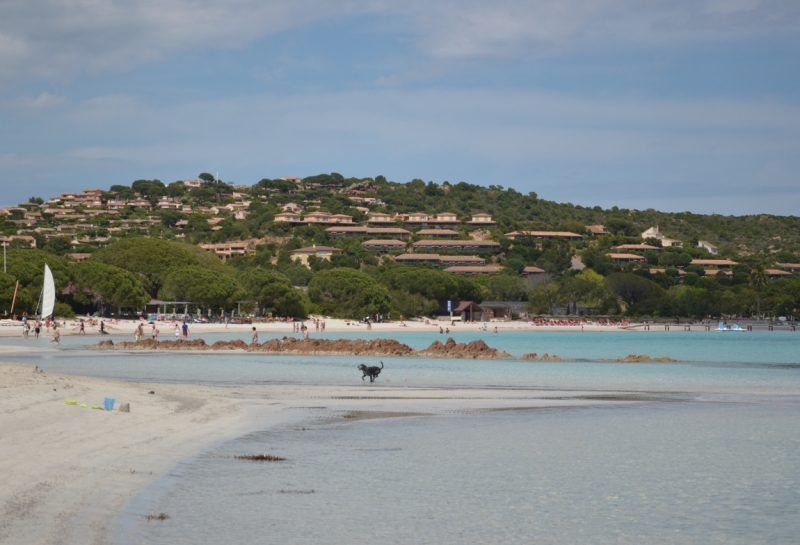 Корсика. Неделя на острове красоты. Май 2014