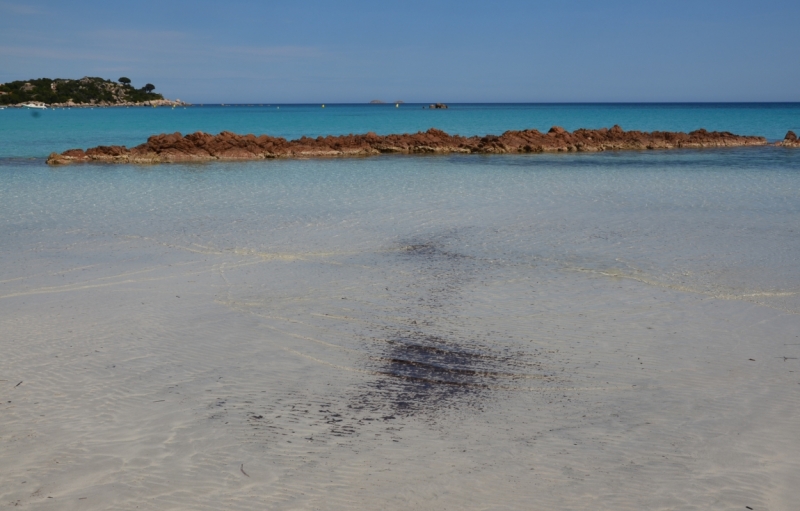 Корсика. Неделя на острове красоты. Май 2014