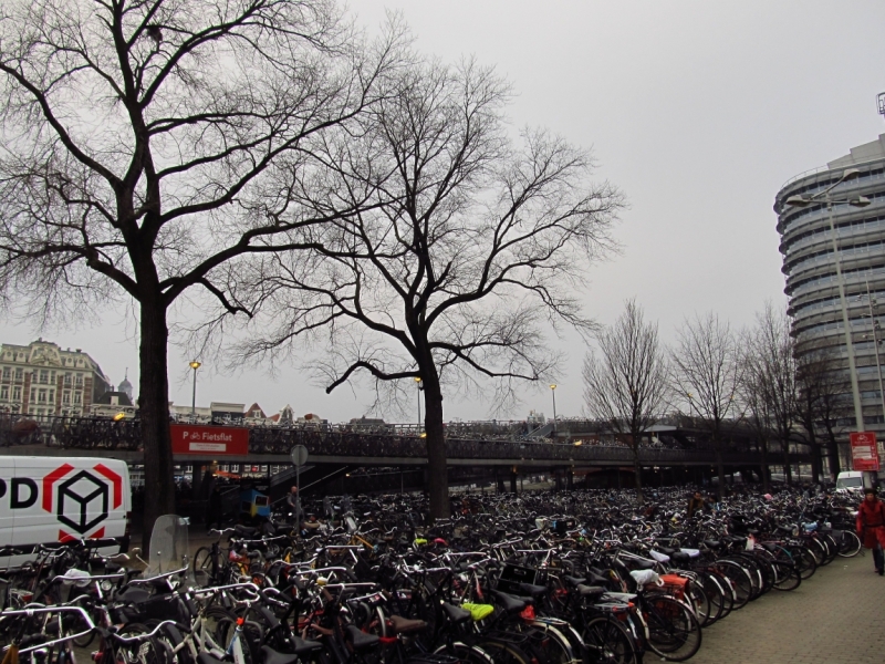 Новогодний Бенилюкс на машине