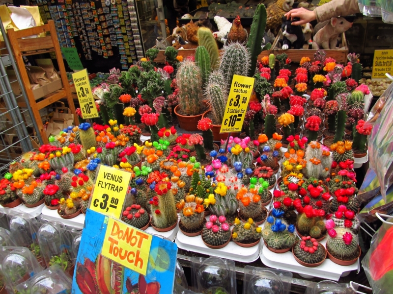 Новогодний Бенилюкс на машине