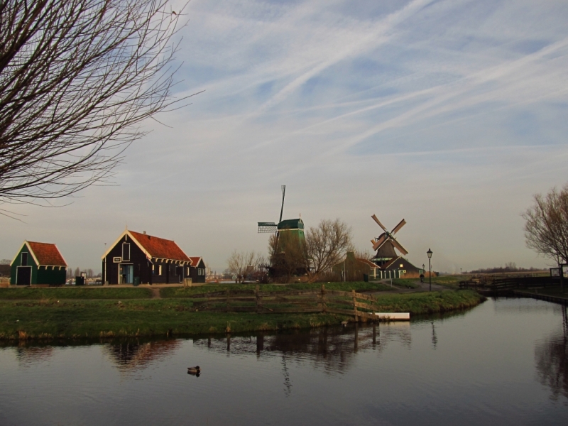 Новогодний Бенилюкс на машине