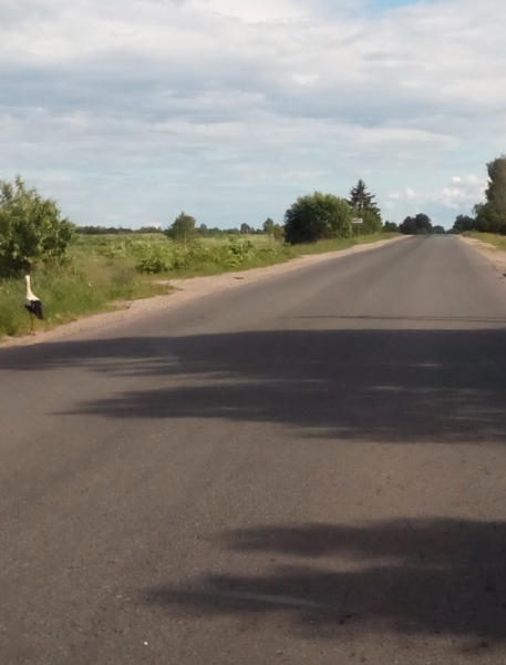 Питер-Павские маки-Псков-Изборск-Печоры-снова Павские маки-Питер