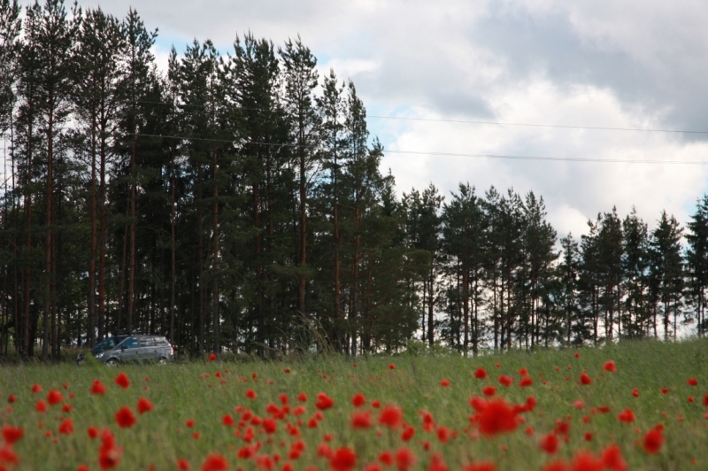 Питер-Павские маки-Псков-Изборск-Печоры-снова Павские маки-Питер