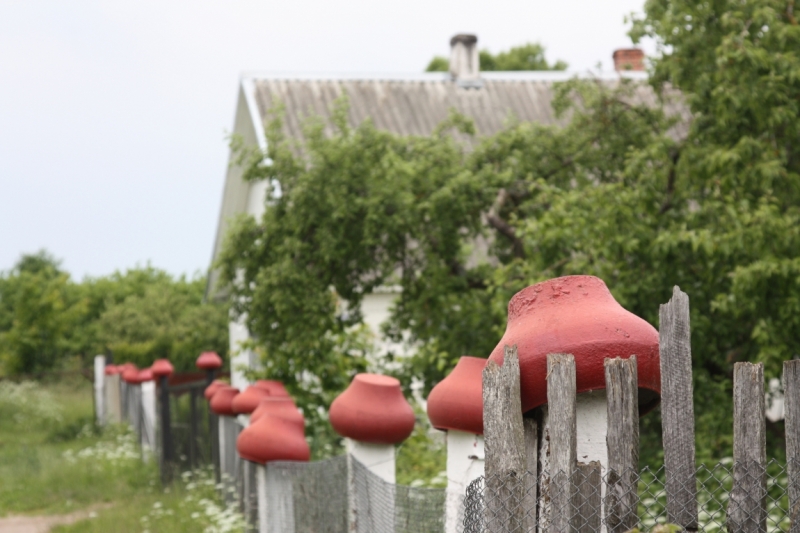 Питер-Павские маки-Псков-Изборск-Печоры-снова Павские маки-Питер