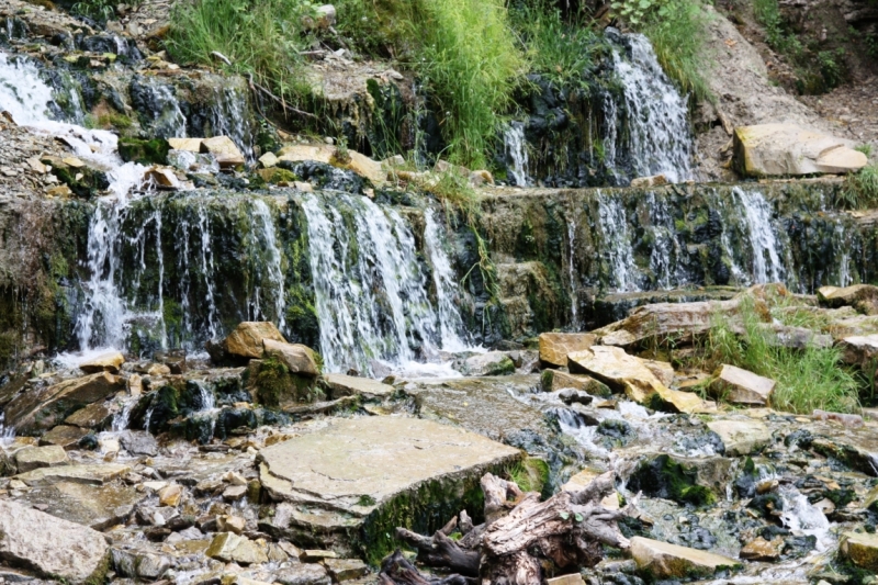 Питер-Павские маки-Псков-Изборск-Печоры-снова Павские маки-Питер