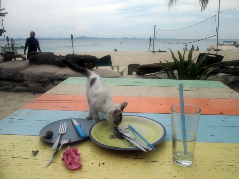 Малайзия 2013 - Борнео, Куала-Лумпур, Перхентианы - маршрут на месяц