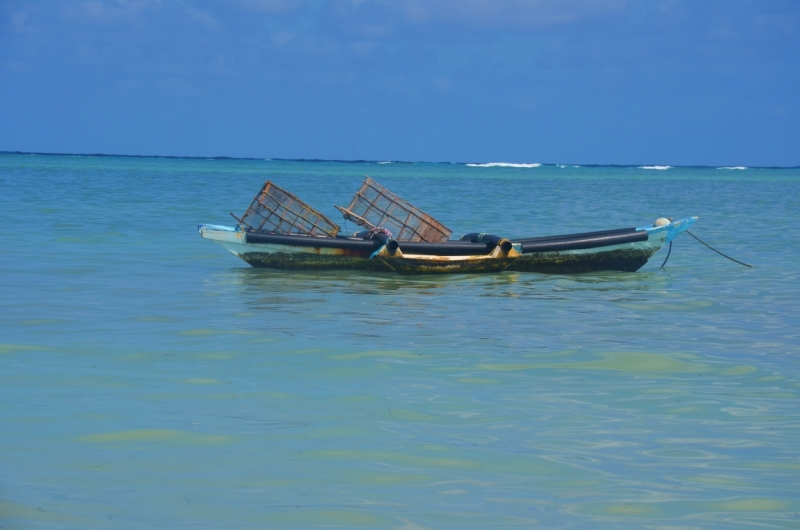 Жизнь  -  колесница. Коморские острова. март 2015