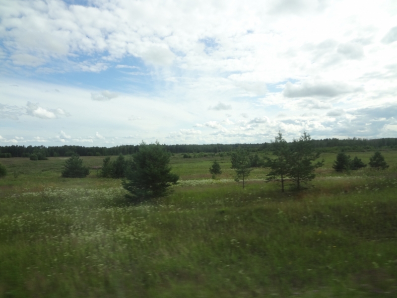 2 дня в Ивановской области (Иваново, Шуя, Холуй, Южа, Палех)