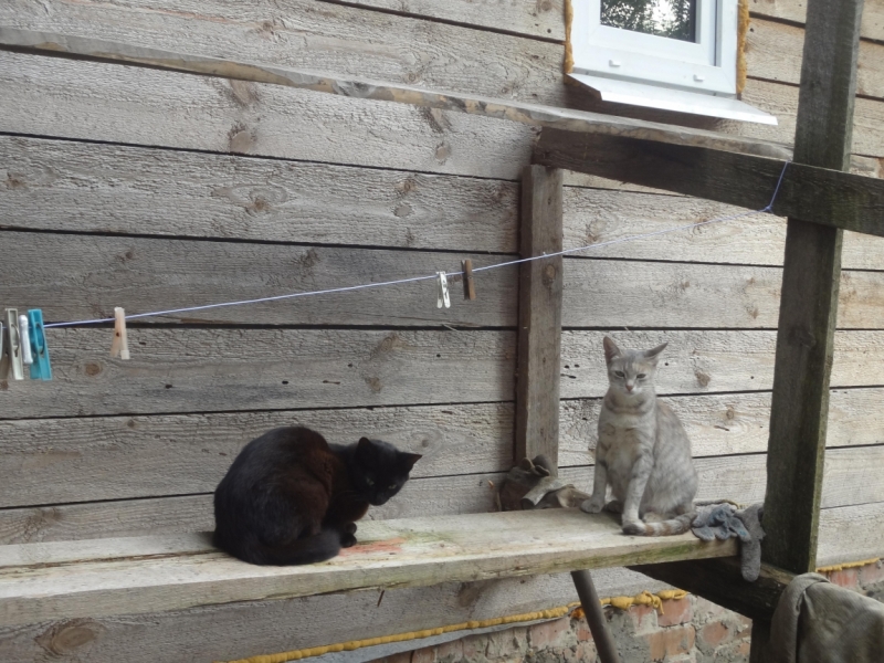 2 дня в Ивановской области (Иваново, Шуя, Холуй, Южа, Палех)